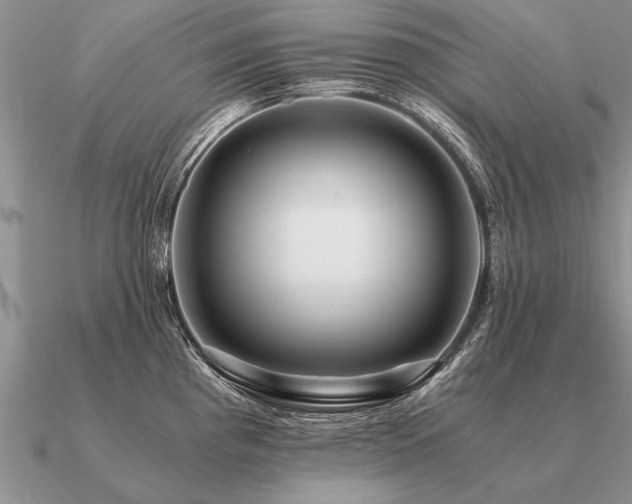 X0000091101193200708061413