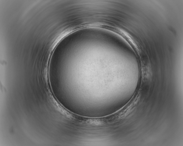 X0000091101194200708061413