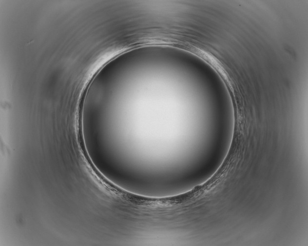 X0000091101195200708061413