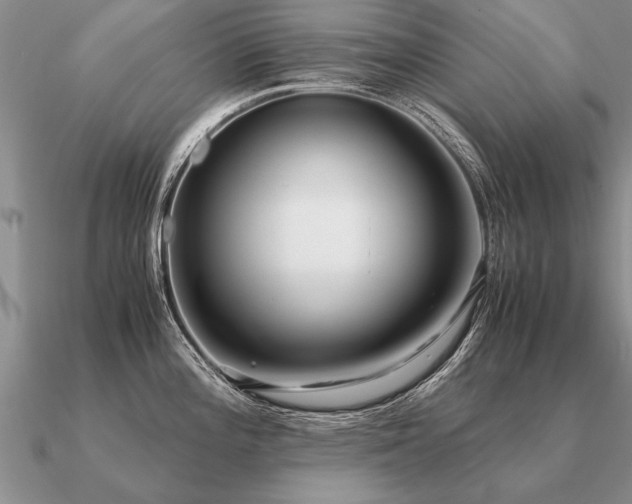 X0000091101196200708061413