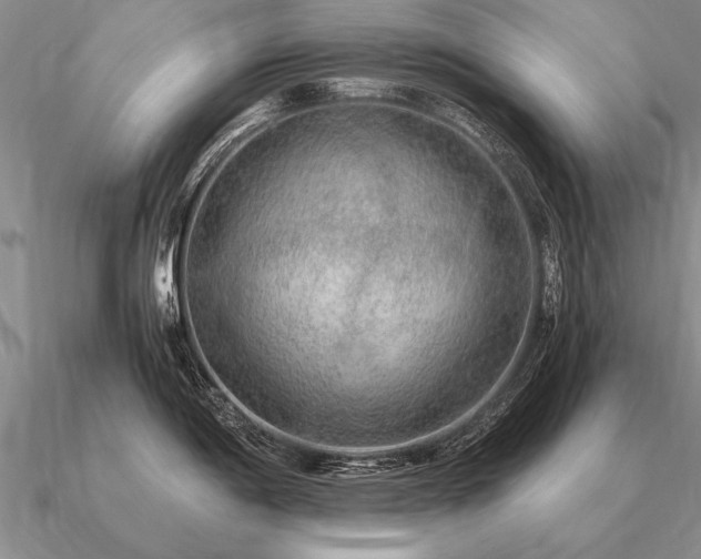 X0000091101198200708061413