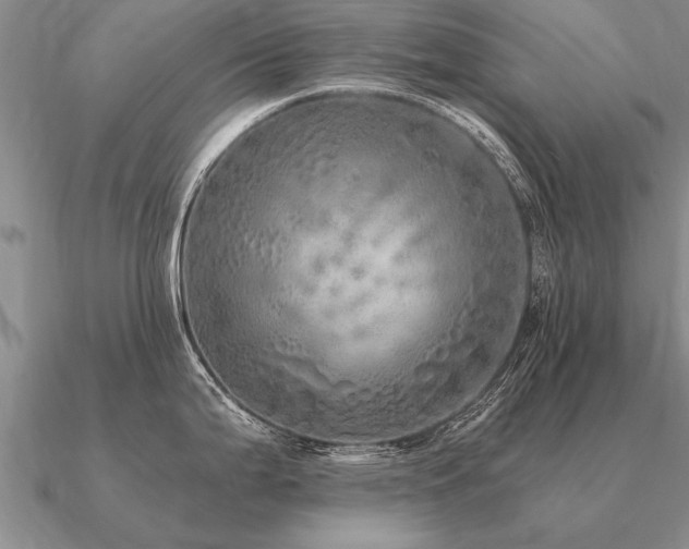 X0000091101199200708061413