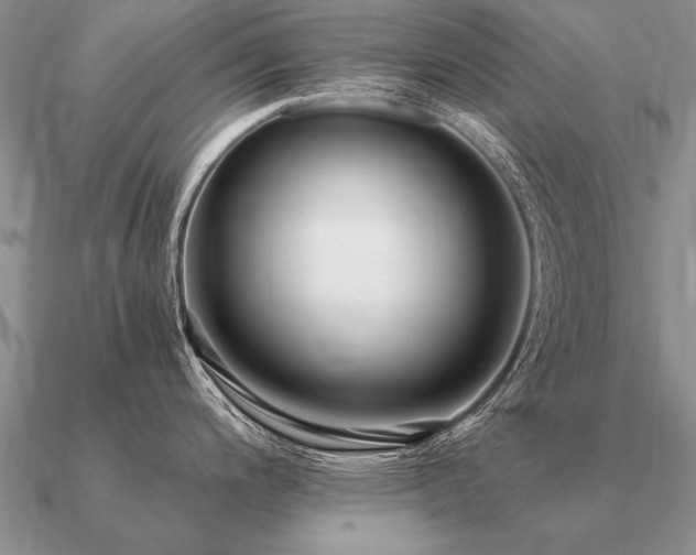 X0000091101200200708061413