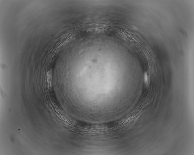 X0000091101203200708061412