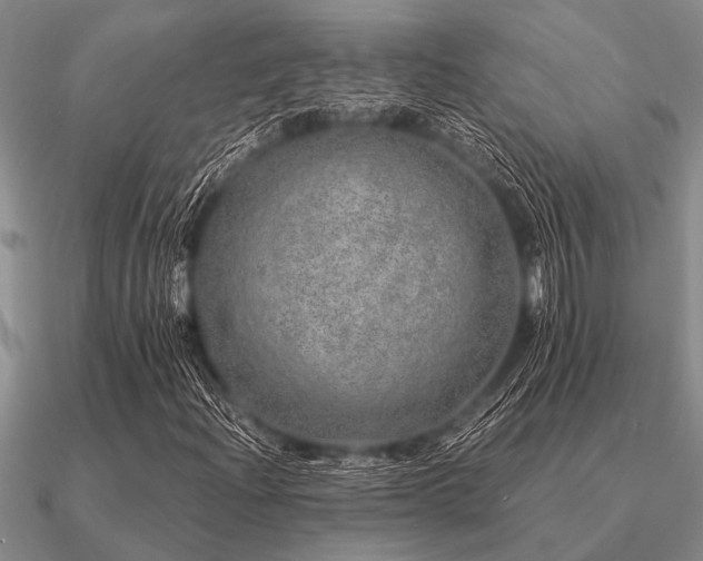 X0000091101204200708061412