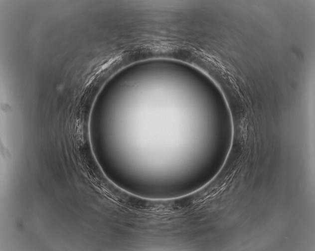 X0000091101205200708061412