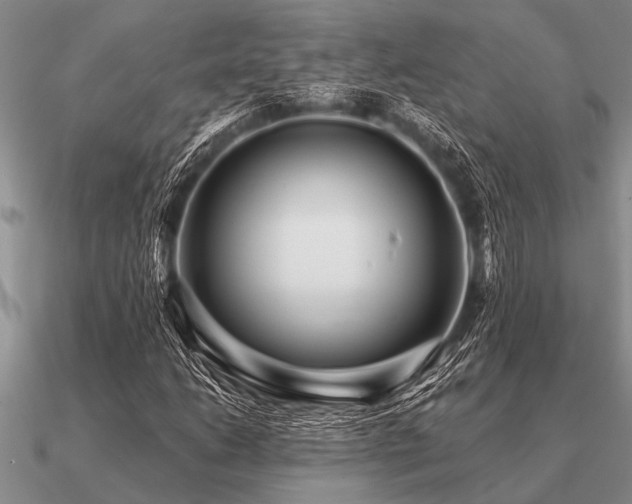 X0000091101206200708061412