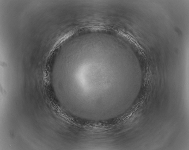 X0000091101207200708061412