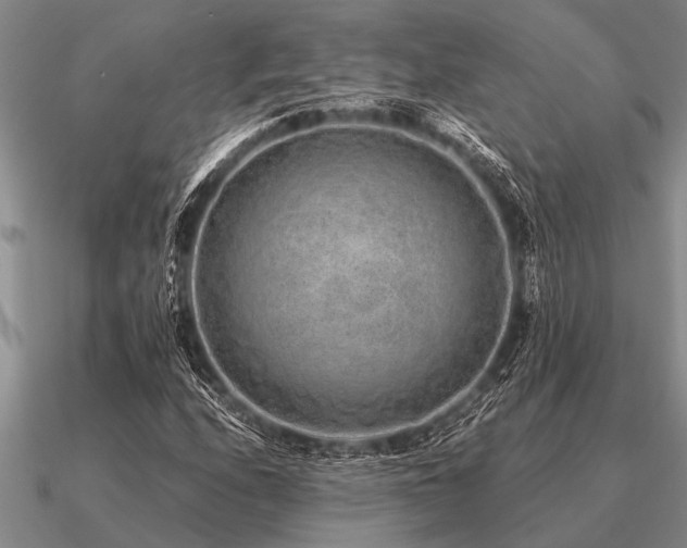 X0000091101208200708061412