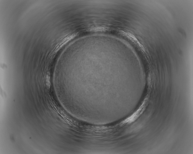 X0000091101209200708061412