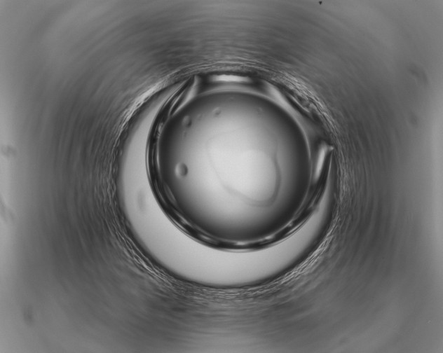 X0000091101210200708061412