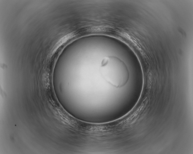 X0000091101211200708061412