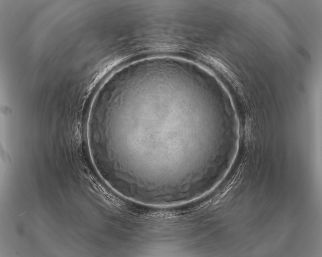 X0000091101212200708061412