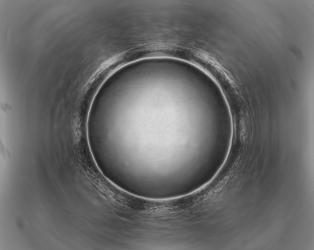 X0000091101213200708061412