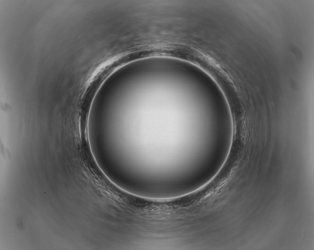 X0000091101214200708061413