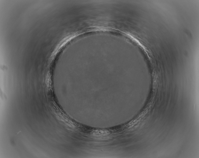 X0000091101215200708061413