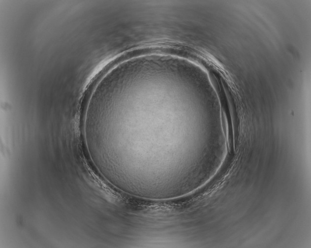 X0000091101216200708061413