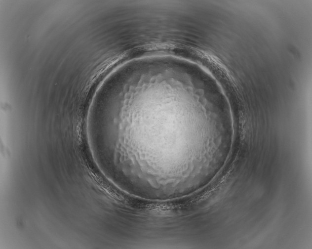 X0000091101217200708061413