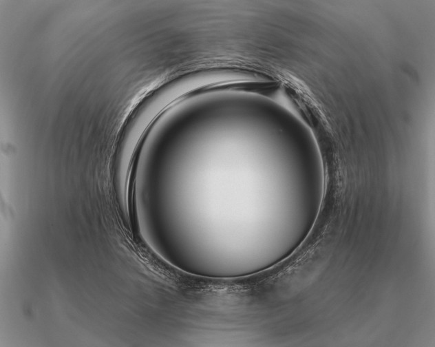 X0000091101218200708061413