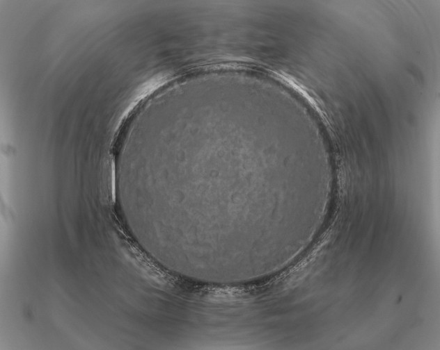 X0000091101219200708061413