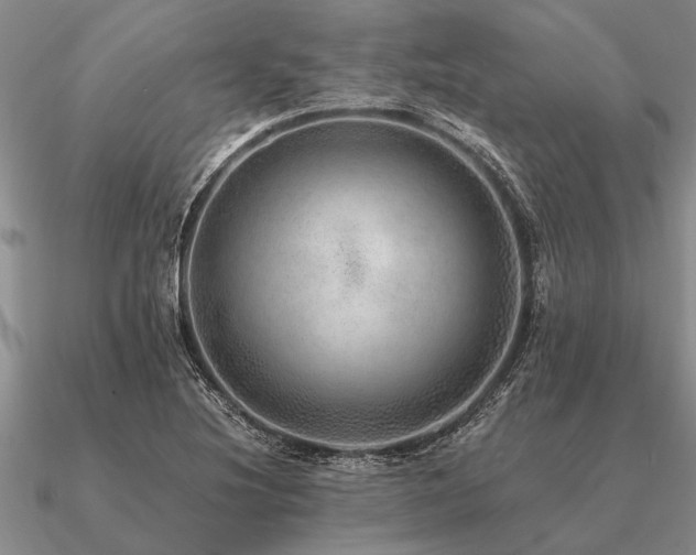 X0000091101220200708061413