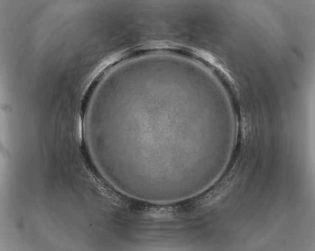 X0000091101221200708061413