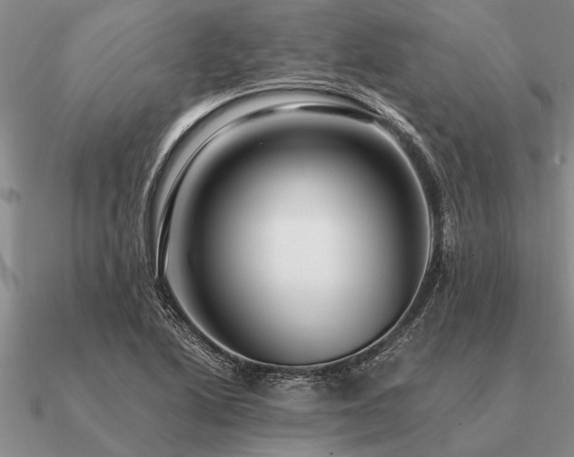 X0000091101222200708061413