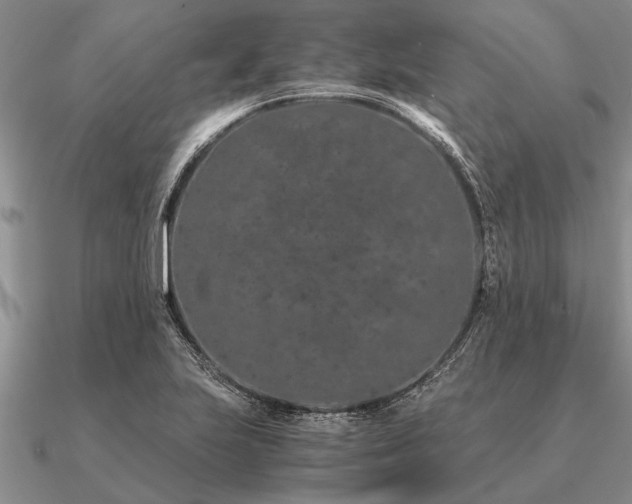 X0000091101223200708061413