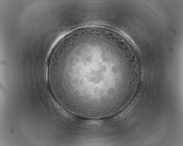 X0000091101224200708061413