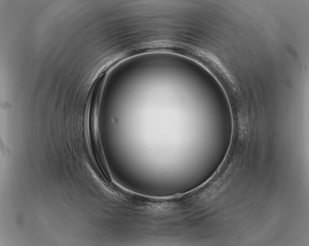 X0000091101225200708061413