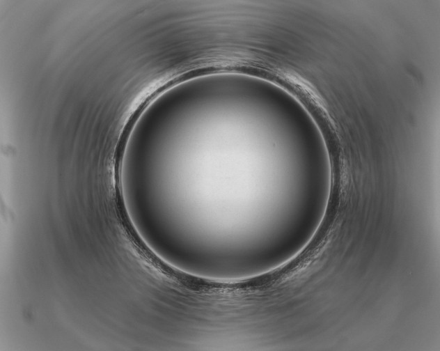 X0000091101226200708061413