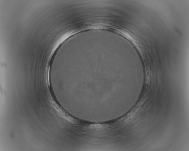 X0000091101227200708061413