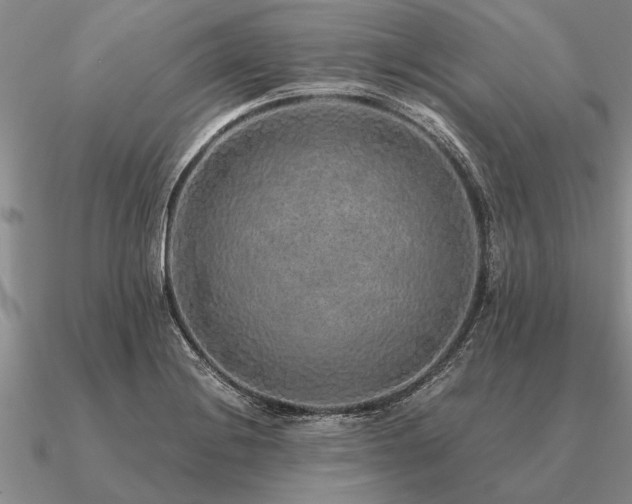 X0000091101228200708061413