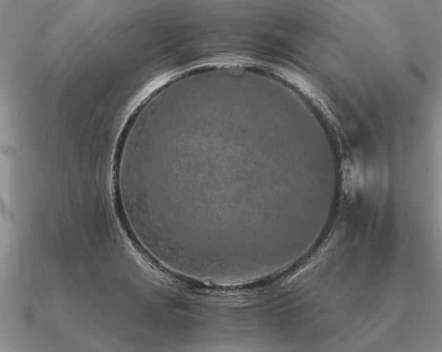 X0000091101229200708061413