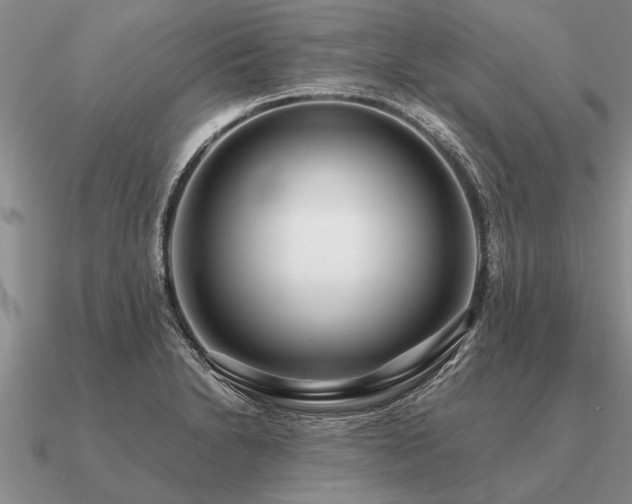 X0000091101230200708061413