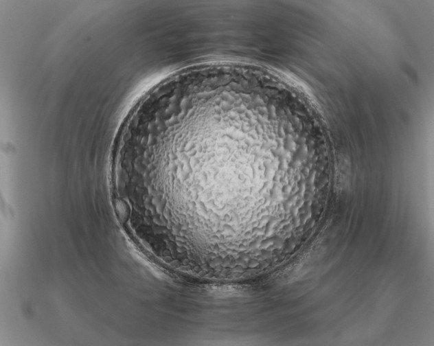 X0000091101231200708061413