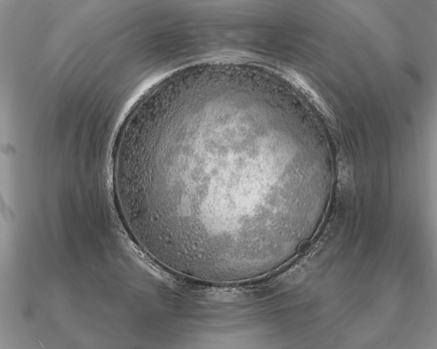 X0000091101232200708061413