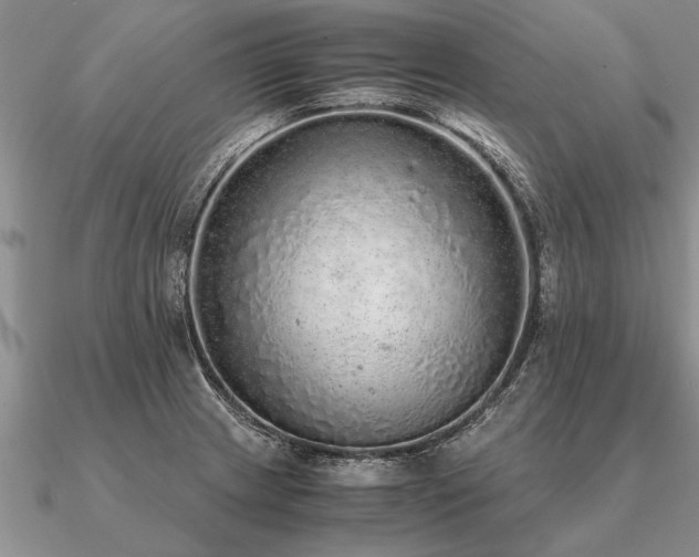 X0000091101233200708061413