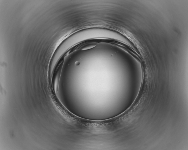 X0000091101234200708061413