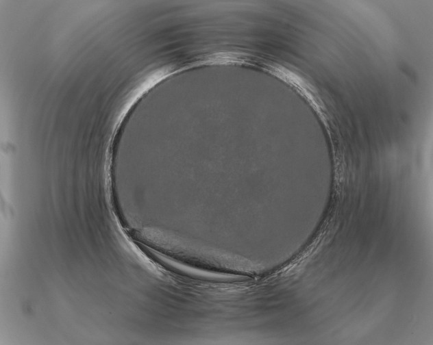 X0000091101235200708061413