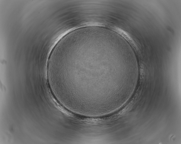 X0000091101236200708061413