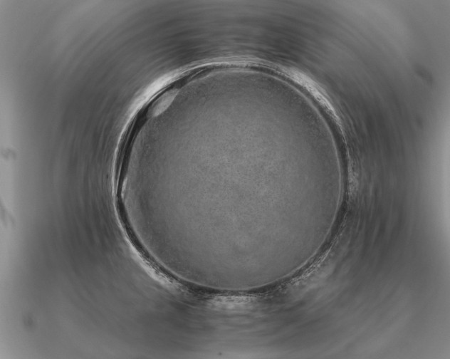 X0000091101237200708061413