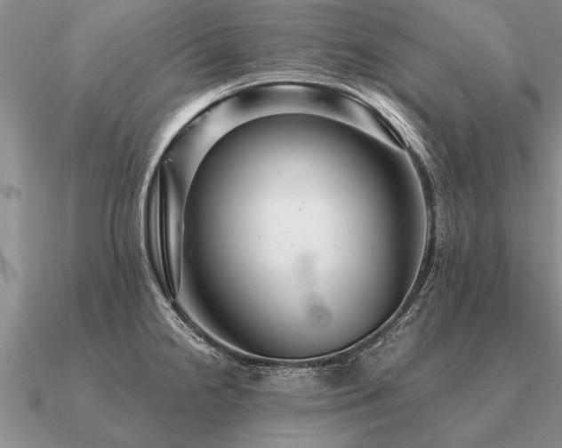 X0000091101238200708061413