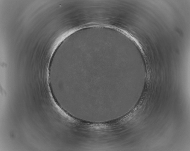 X0000091101239200708061413