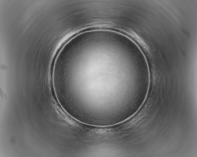 X0000091101240200708061413