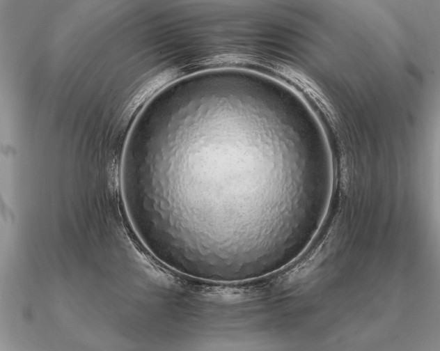 X0000091101241200708061413