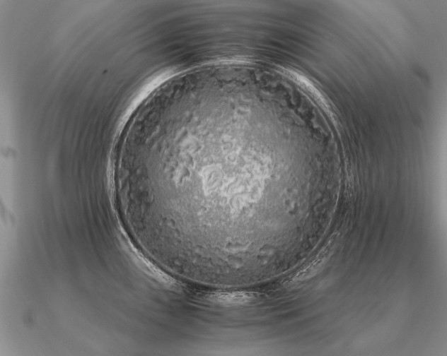 X0000091101243200708061413