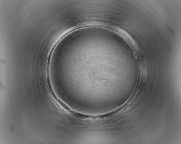 X0000091101244200708061413