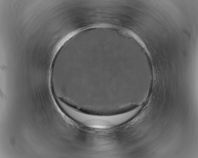 X0000091101245200708061413