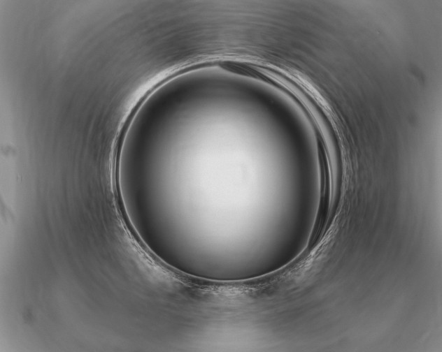 X0000091101246200708061413